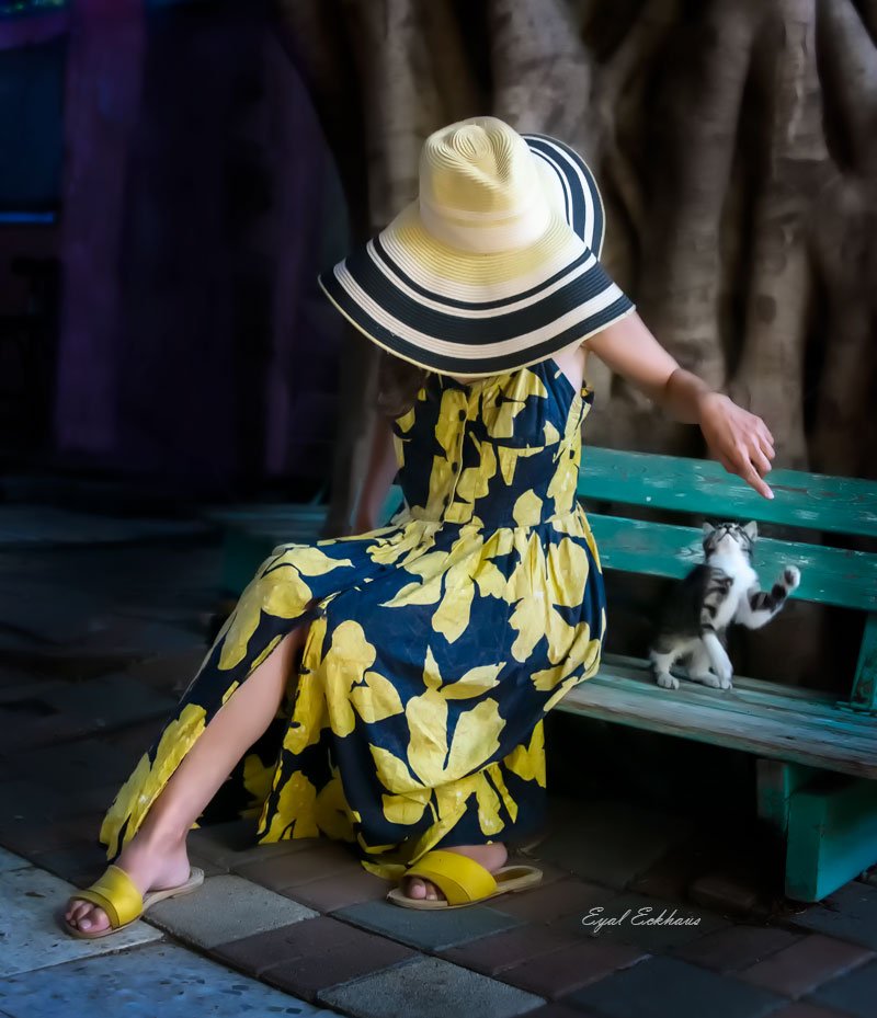 Fashion model and kitten